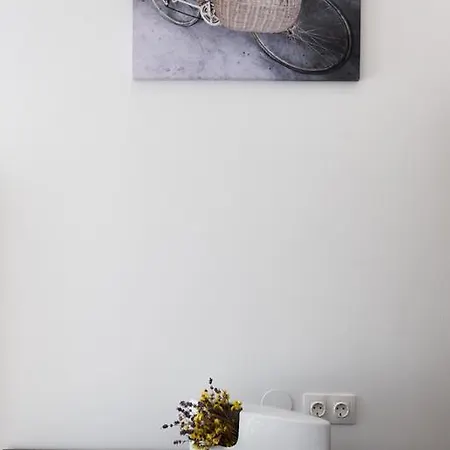 Tika Apartment *
