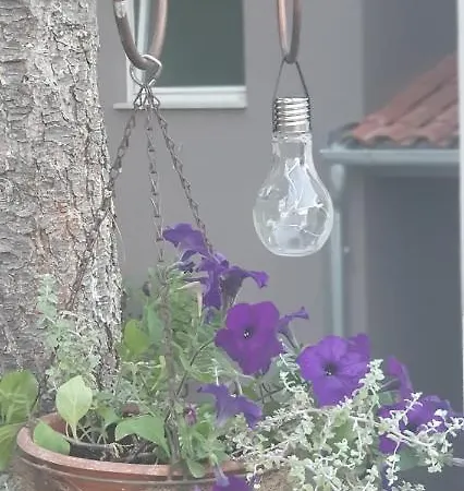 Tika Apartamento Pula