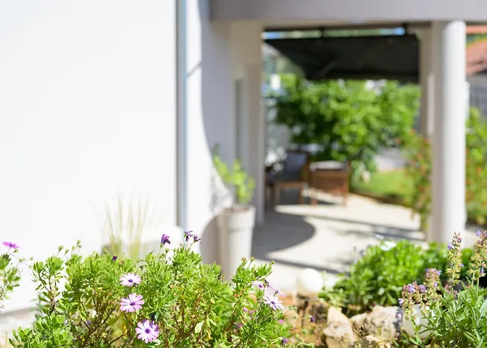 Tika Apartman